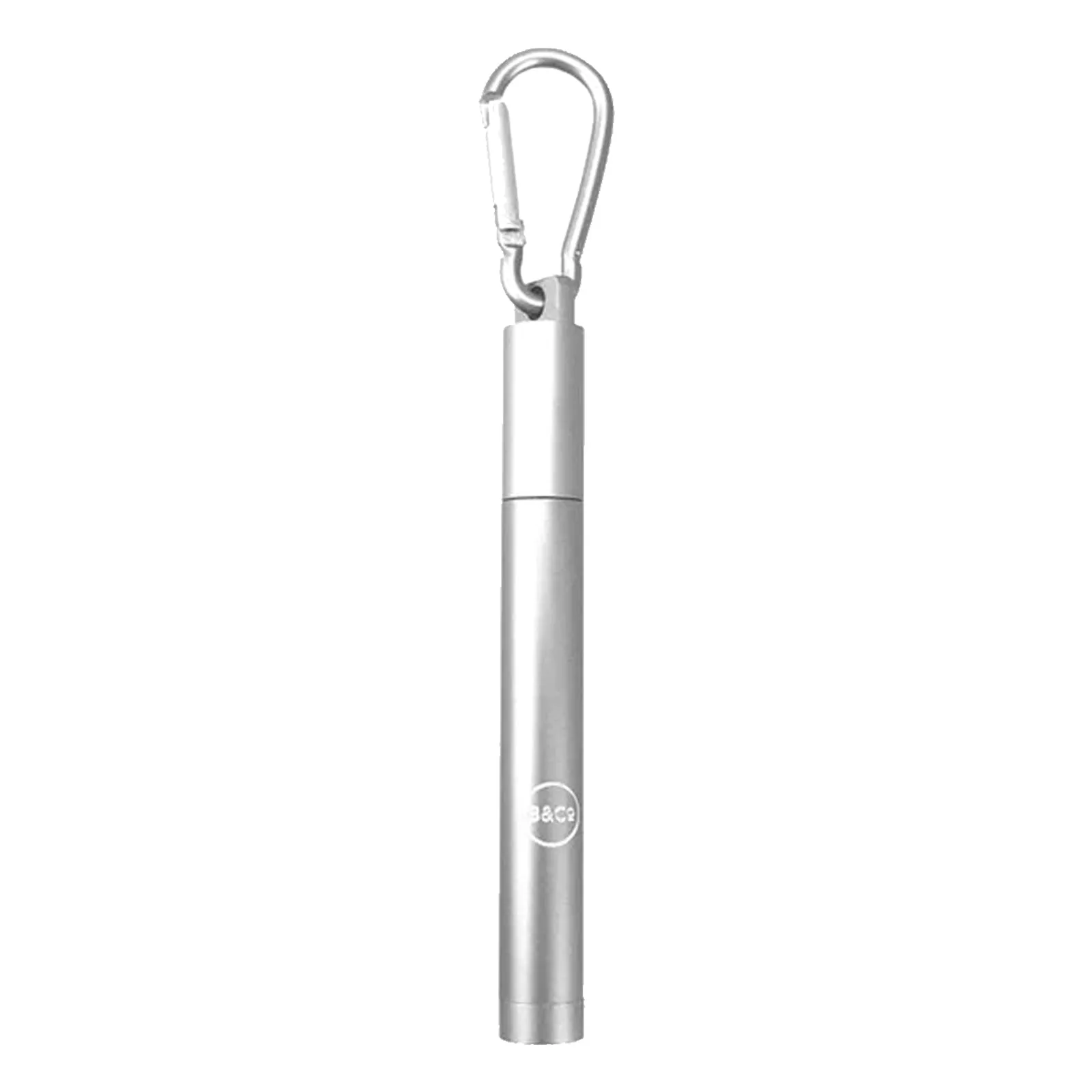 B&Co Collapsible Straw And Brush In Case Silver