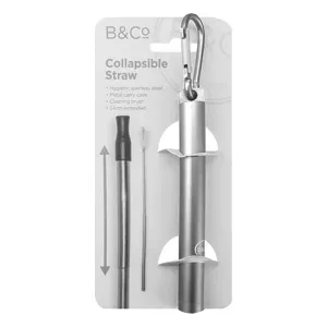 B&Co Collapsible Straw And Brush In Case Silver