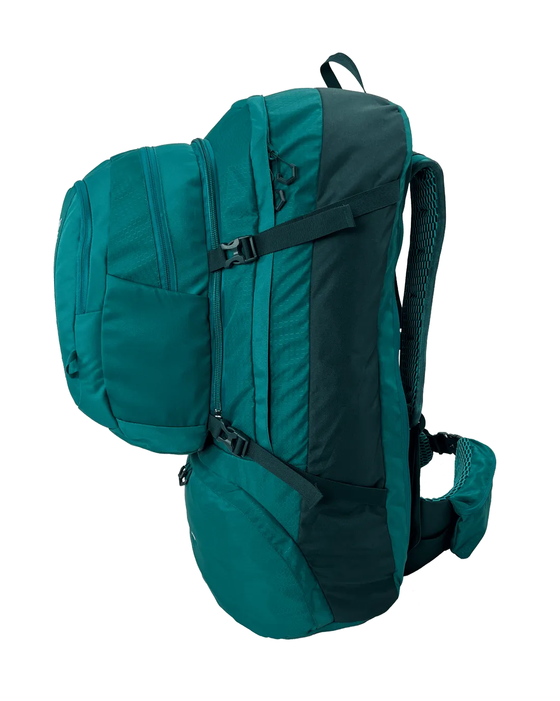 Black Wolf - Fulham II 60 Backpack - Quetzal Green/Sea Moss