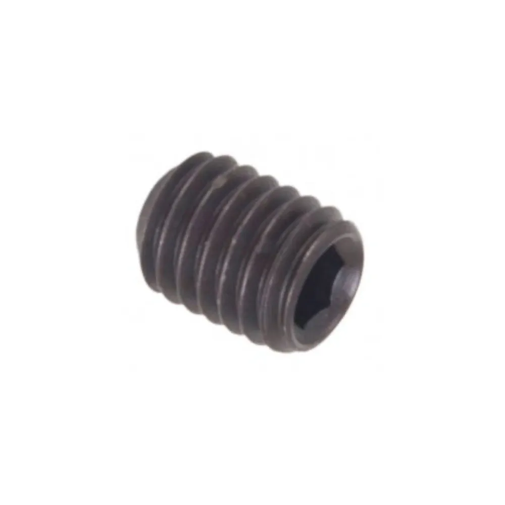 Interpump M8x10 Grub Screw | 99.3017.00