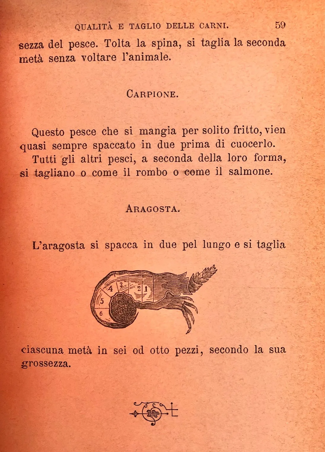 (Italian) Anna Maria, Cav. Il Nuovo Re Dei Cuochi, che contiene la Cucina Grassa, Magra e d'Olio, Serve Pranzi...con migliori metodi per Conserve, Gelati, Rosoli, etc.