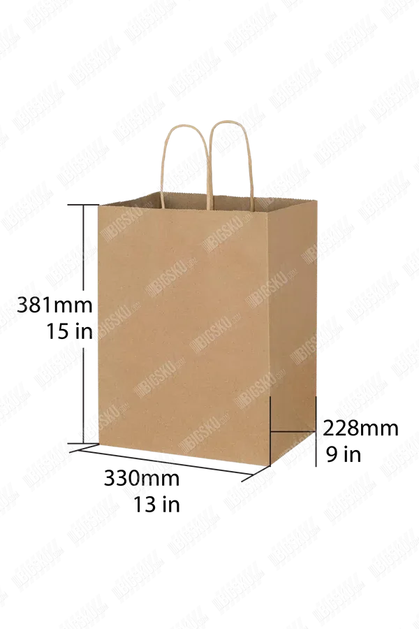 Kraft Paper Bag with Twisted Handle