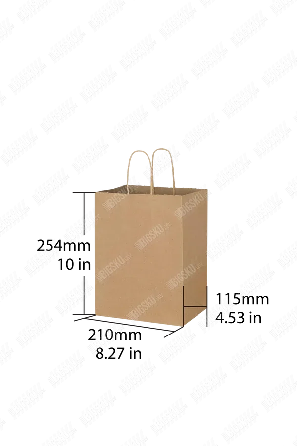 Kraft Paper Bag with Twisted Handle