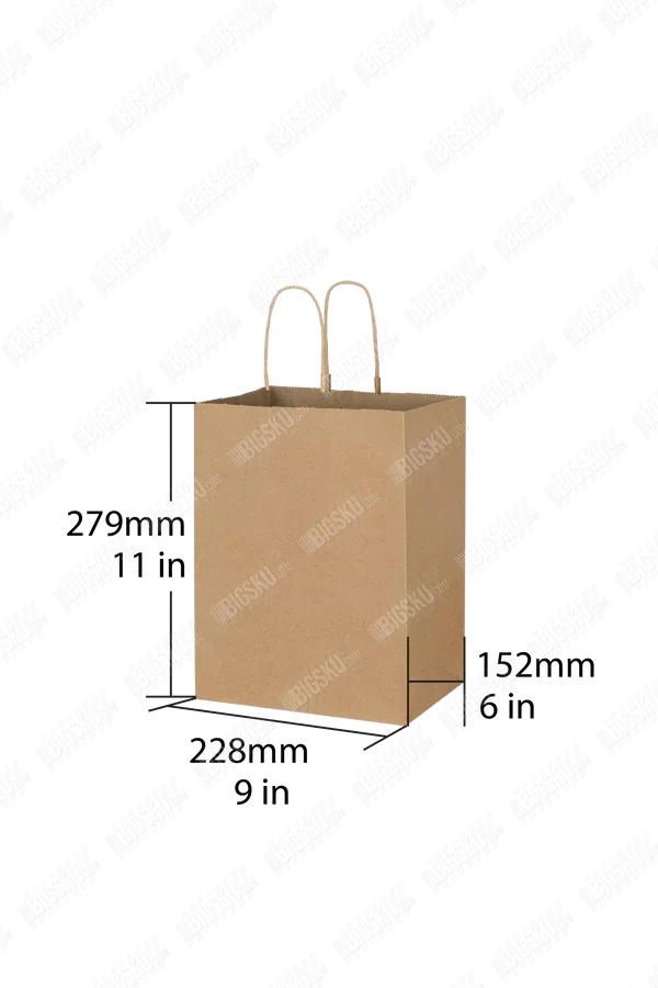 Kraft Paper Bag with Twisted Handle