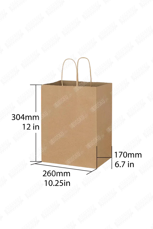 Kraft Paper Bag with Twisted Handle