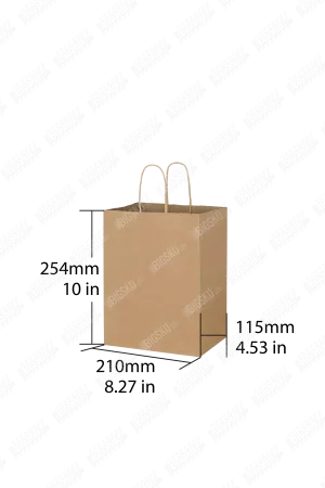 Kraft Paper Bag with Twisted Handle