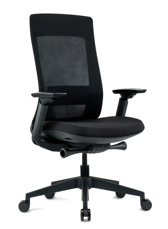 Modern Ergonomic Office Chair with Soft Cushion for Long Use, Black