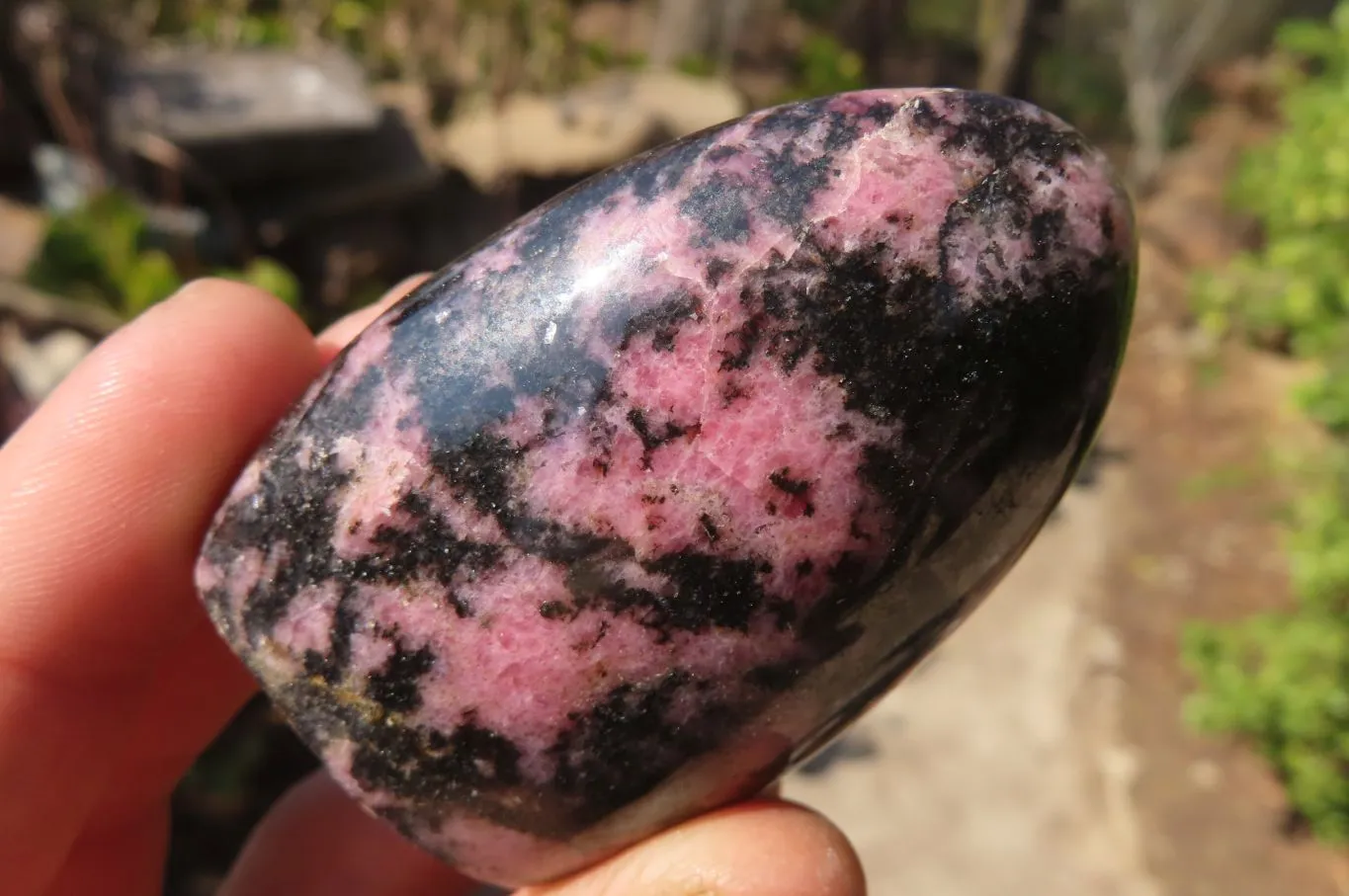 Polished Rhodonite Standing Free Forms x 6 From Ambindavato, Madagascar