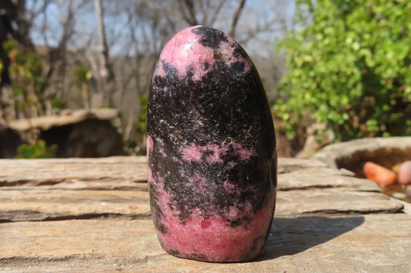 Polished Rhodonite Standing Free Forms x 6 From Ambindavato, Madagascar