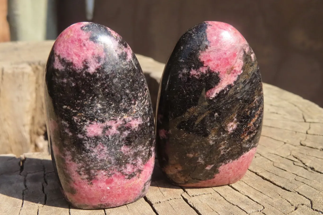 Polished Rhodonite Standing Free Forms x 6 From Ambindavato, Madagascar