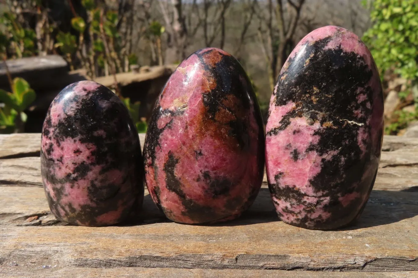 Polished Rhodonite Standing Free Forms x 6 From Ambindavato, Madagascar