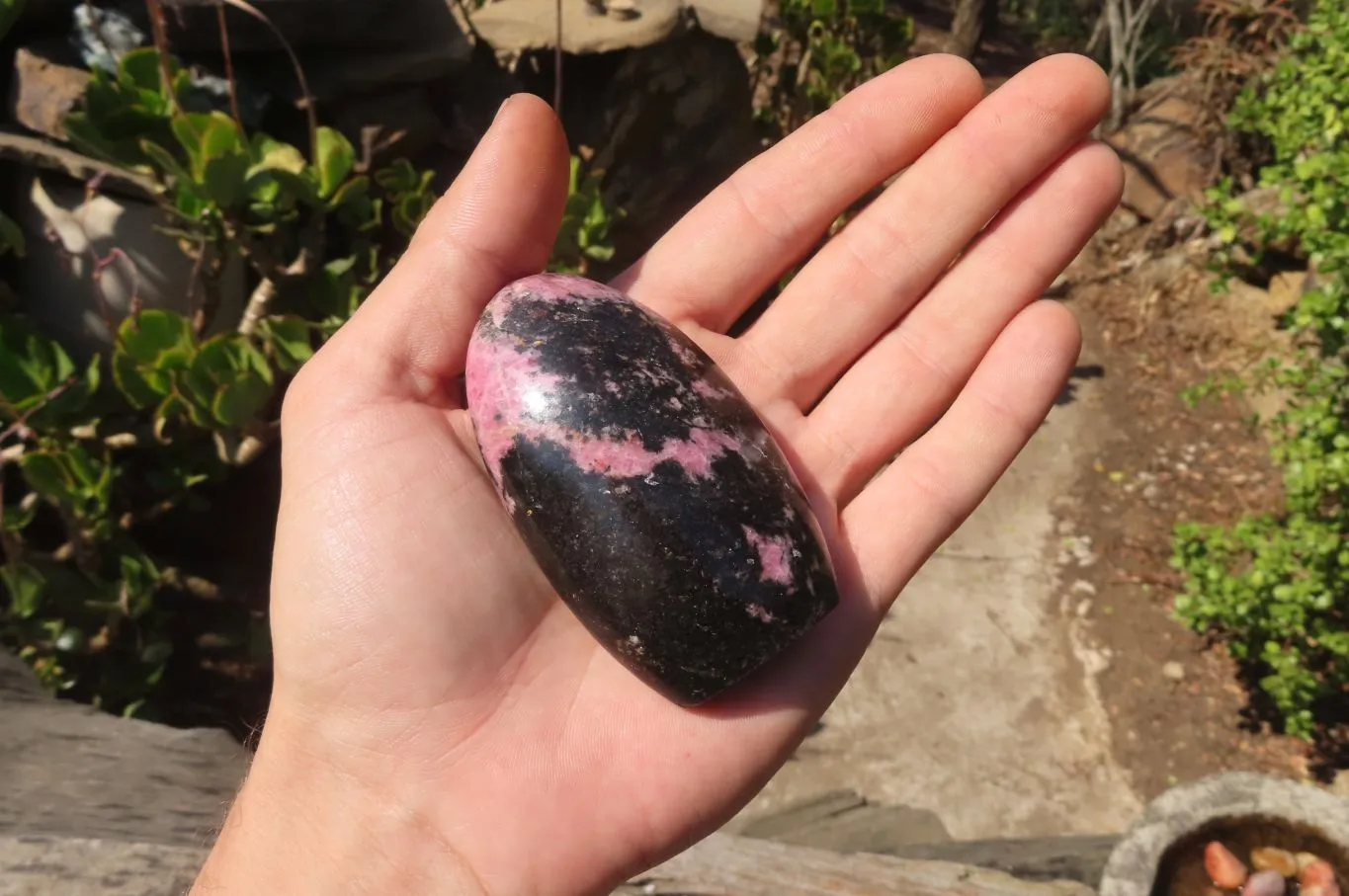 Polished Rhodonite Standing Free Forms x 6 From Ambindavato, Madagascar