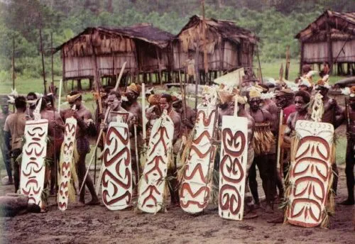 RARE KANINGARA CLAN WARRIOR ARROW DEFLECTOR WAR SHIELD SEPIK PAPUA GUINEA 9A29