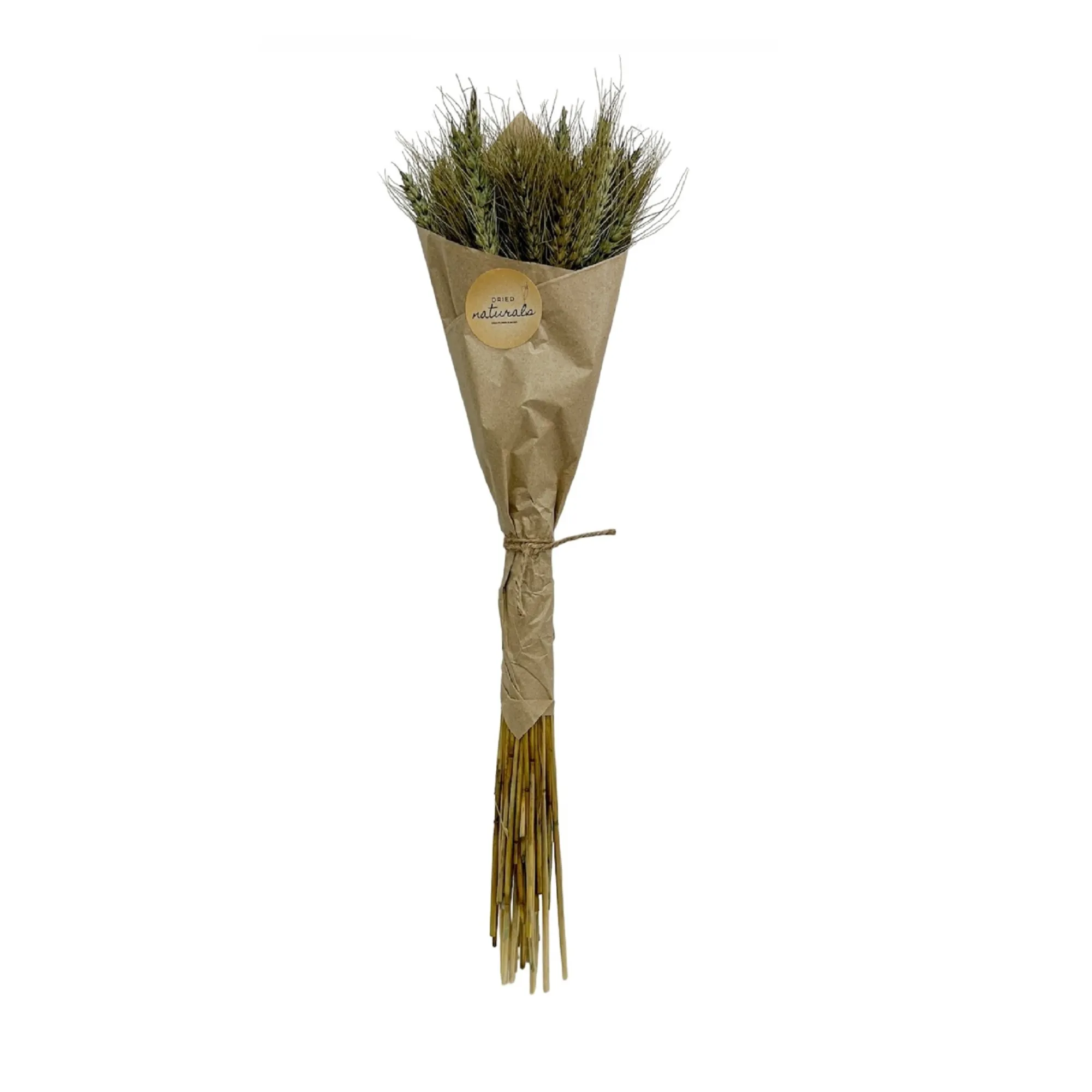 Wheat Grass in Craft Paper Wrap